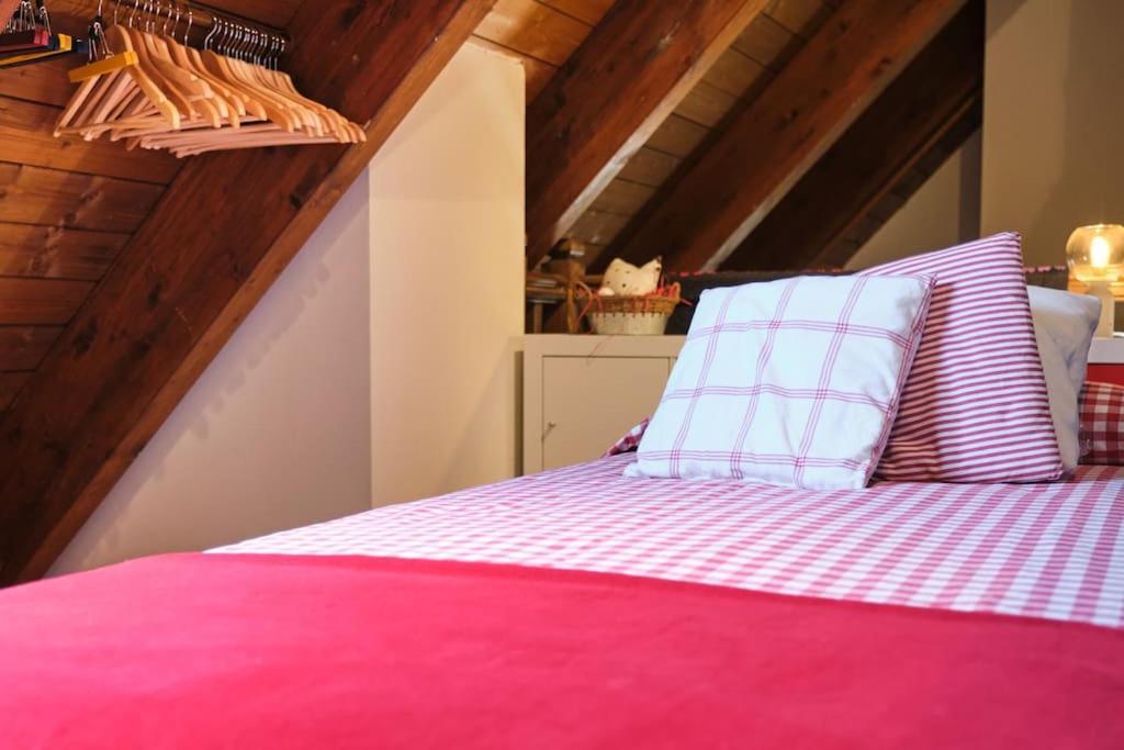 Atico Duplex Garaje Y Wifi Gratis Panticosa Apartment Exterior photo